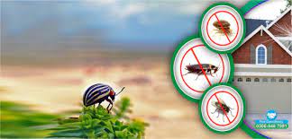 fumigation services in islamabad